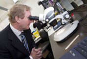 enda-kenny-dustmites