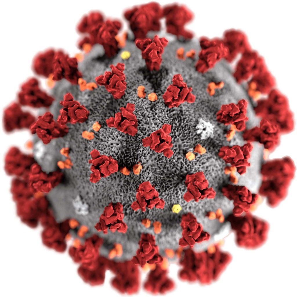 Close-up transmission electron micrograph of SARS-CoV-2 showing spiked viral envelope