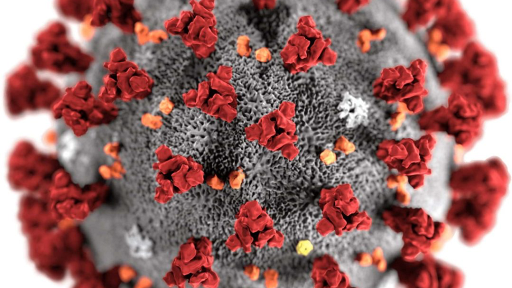 Close-up transmission electron micrograph of SARS-CoV-2 showing spiked viral envelope