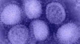 Viruses in Indoor Environments Influenza A