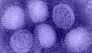 h1n1 | Airmid Healthgroup Influenza A (H1N1) Viruses in Indoor Environments