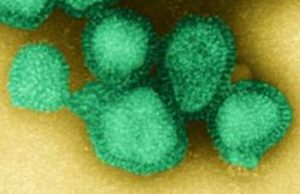 h3n2 | Airmid Healthgroup Influenza A (H3N2) Viruses in Indoor Environments