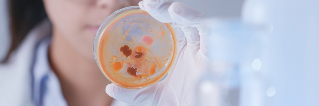 scientist-observation-about-petri-dish-in-lab-2023-11-27-04-53-20-utc