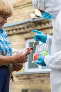 influenza avian flu