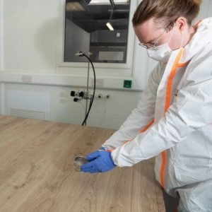Scientist in PPE conducting surface residue testing on wood using a petri dish for ASTM G21